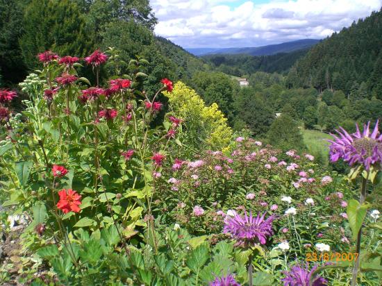 vue sur le Livradois Forez