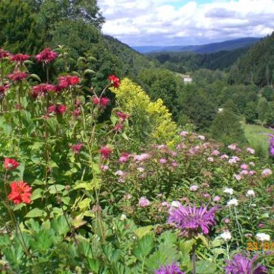 vue sur le Livradois Forez