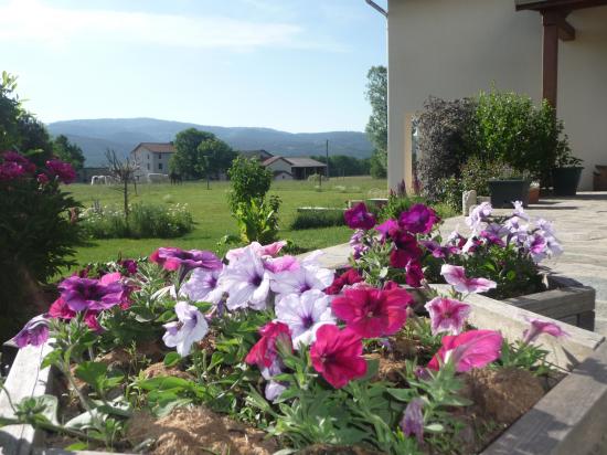 fleurs autour du gite de Lapierre